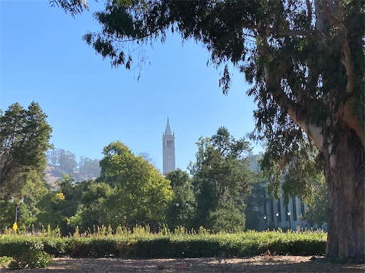 f:id:KirigirisuMax:20221015194511j:image