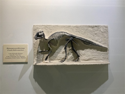 f:id:KirigirisuMax:20221015194538j:image