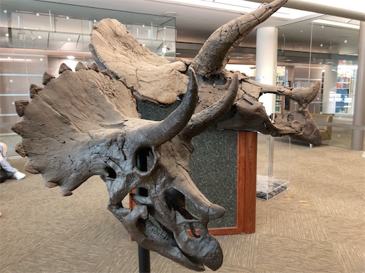 f:id:KirigirisuMax:20221015194705j:image