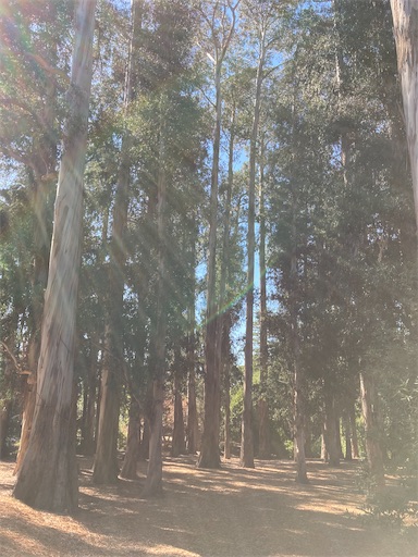 f:id:KirigirisuMax:20221015194753j:image