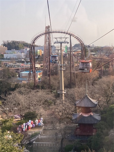 f:id:KirigirisuMax:20230312095643j:image