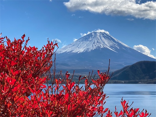 f:id:KirigirisuMax:20231121094029j:image