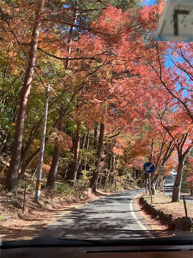 f:id:KirigirisuMax:20231121163159j:image