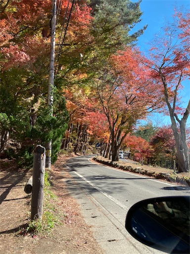 f:id:KirigirisuMax:20231121163202j:image