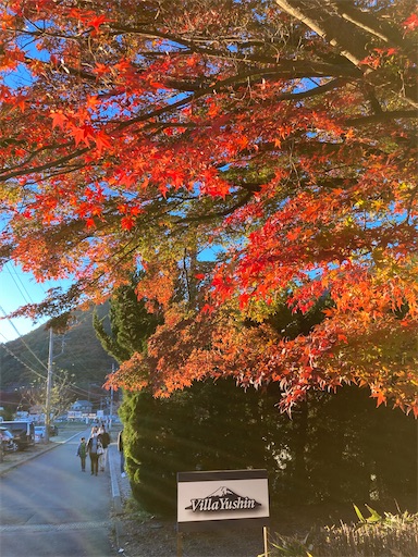 f:id:KirigirisuMax:20231122094131j:image