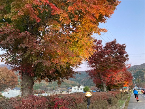 f:id:KirigirisuMax:20231122094208j:image