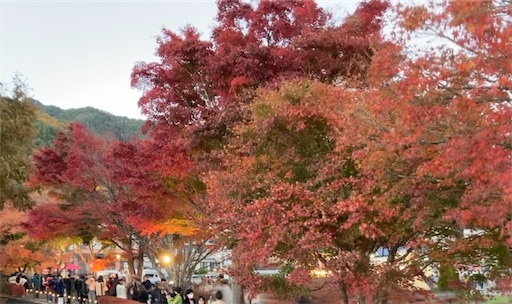 f:id:KirigirisuMax:20231122094507j:image