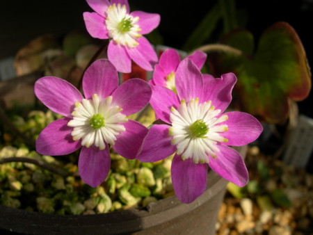 f:id:Kirk:20090228145609j:image f:id:Kirk:20090228145609j:image