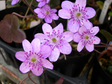 f:id:Kirk:20090228150428j:image f:id:Kirk:20090228150428j:image