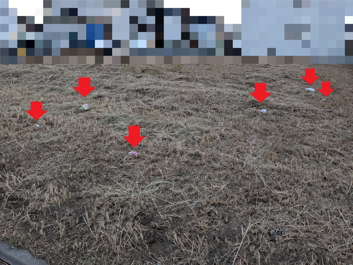 f:id:Kisaradu_Kaneda:20210710214328j:plain