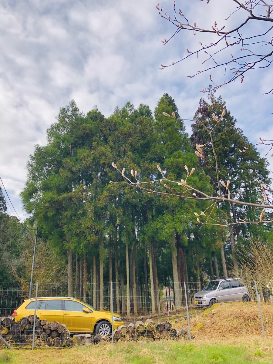 f:id:KishimotoTaro:20200427223643j:plain f:id:KishimotoTaro:20200427223643j:plain