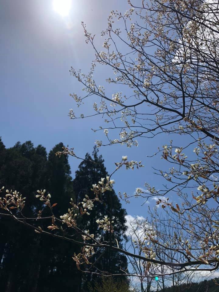 f:id:KishimotoTaro:20200505203038j:plain f:id:KishimotoTaro:20200505203038j:plain