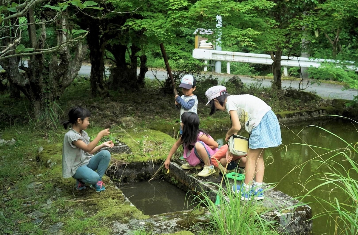 f:id:KishimotoTaro:20200704153137j:plain f:id:KishimotoTaro:20200704153137j:plain