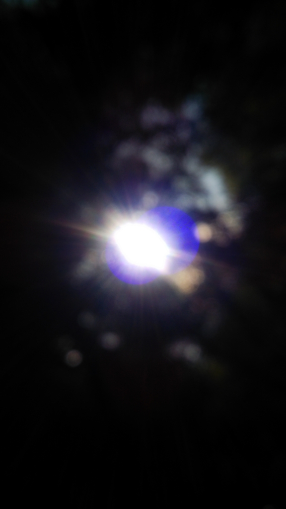 f:id:Kissaed:20161011234217j:plain f:id:Kissaed:20161011234217j:plain