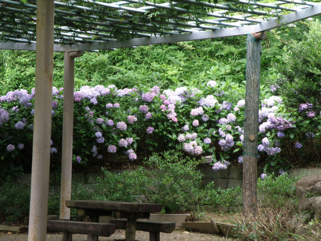 f:id:Kitajskaya:20150627204246j:plain f:id:Kitajskaya:20150627204246j:plain
