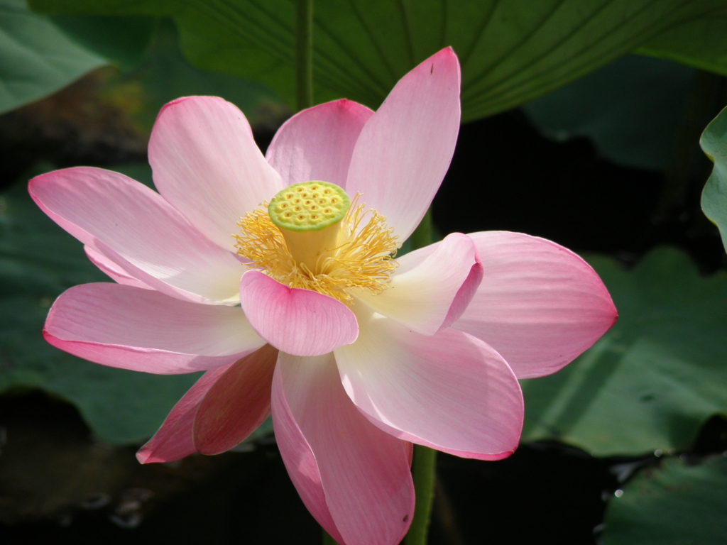 f:id:Kitajskaya:20150628103120j:plain f:id:Kitajskaya:20150628103120j:plain