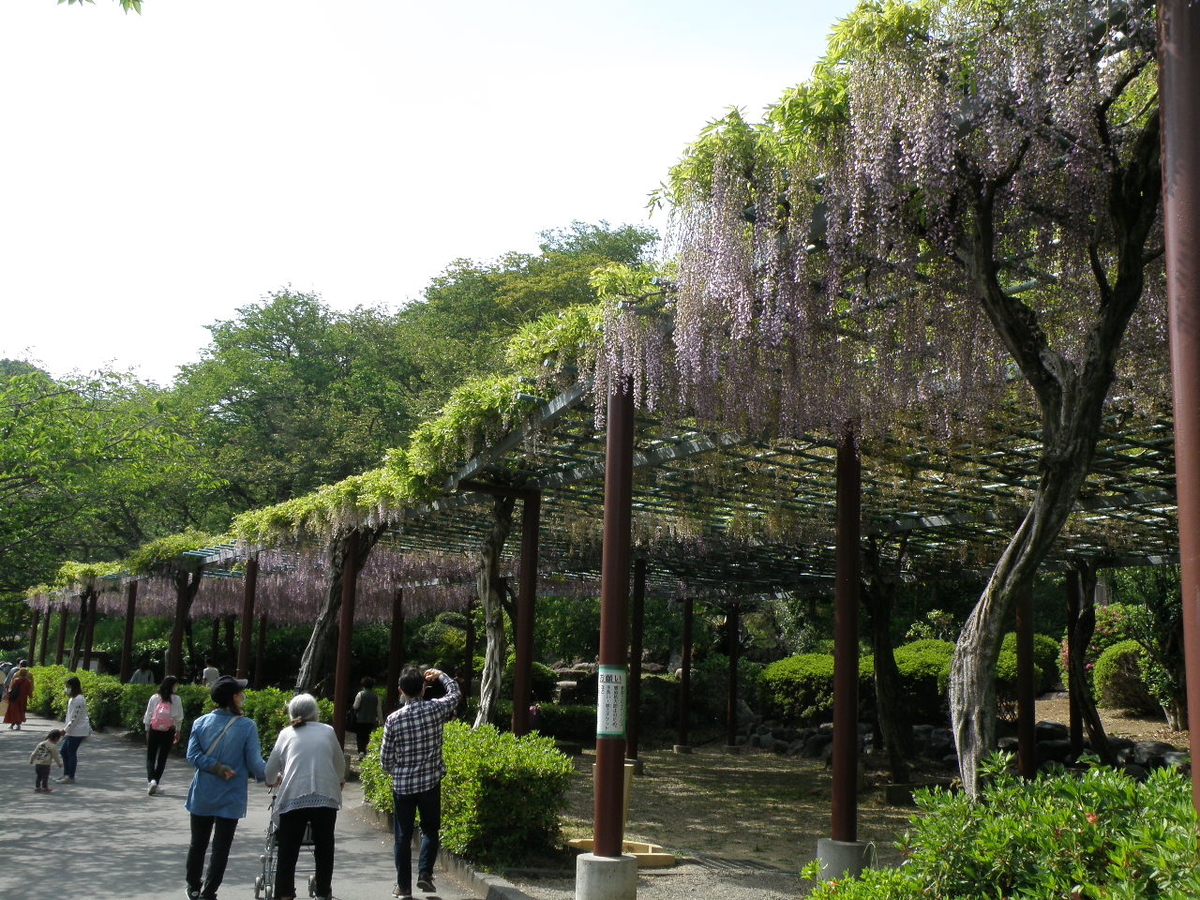 f:id:Kitajskaya:20210502151645j:plain