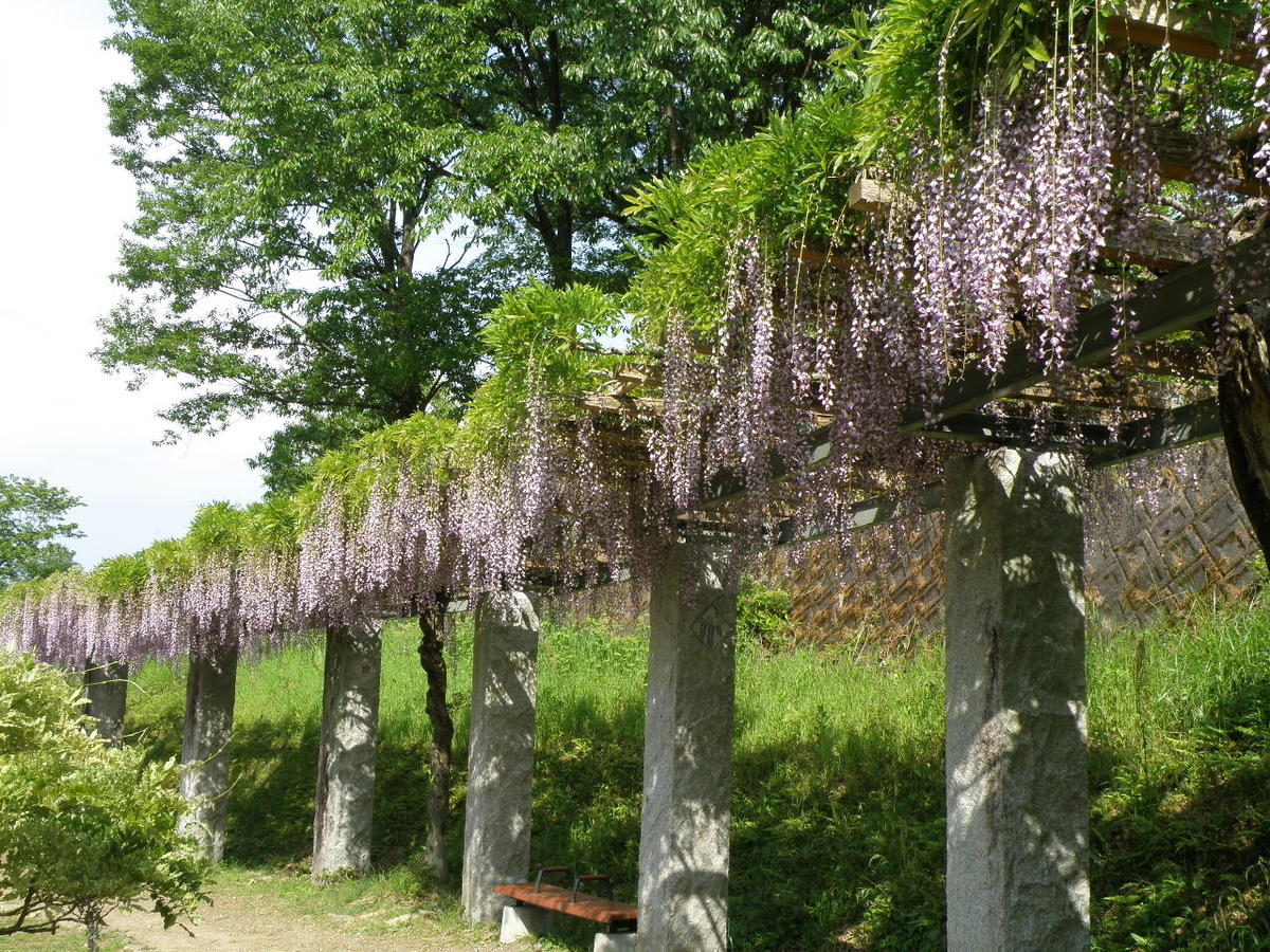 f:id:Kitajskaya:20210502152737j:plain