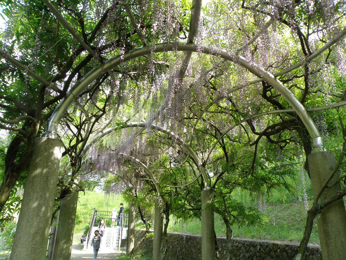 f:id:Kitajskaya:20210502152852j:plain