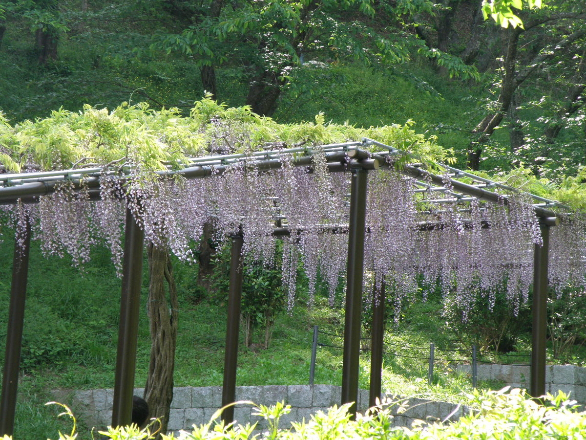 f:id:Kitajskaya:20210502160852j:plain