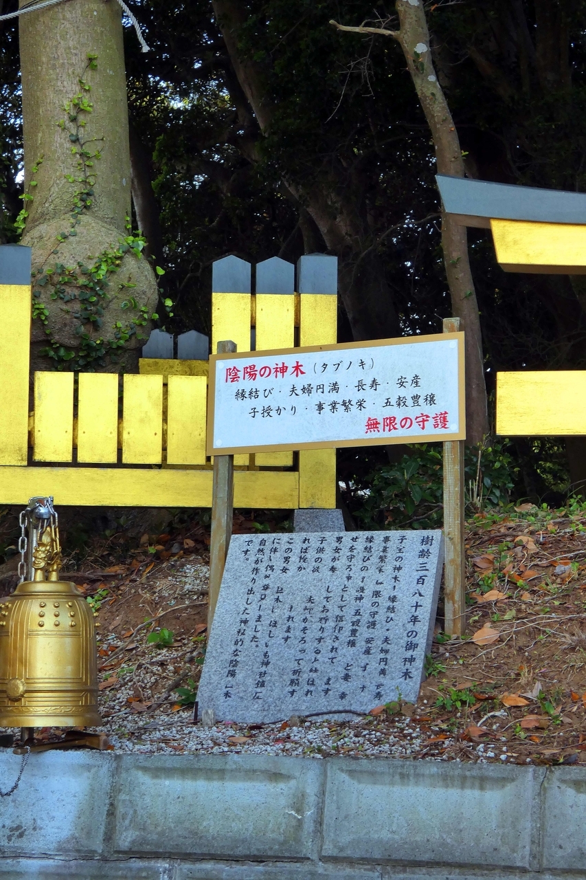クリックすると大きな画像が表示されます。{戻る}ボタンを押すと元のページに復帰します。 20260519113432
