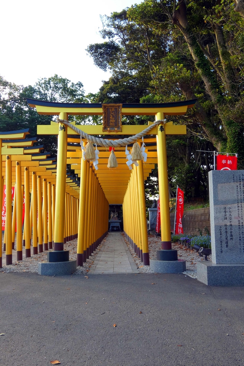クリックすると大きな画像が表示されます。{戻る}ボタンを押すと元のページに復帰します。 20260519113448