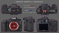 5D2vs7D