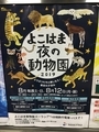 夜の動物園