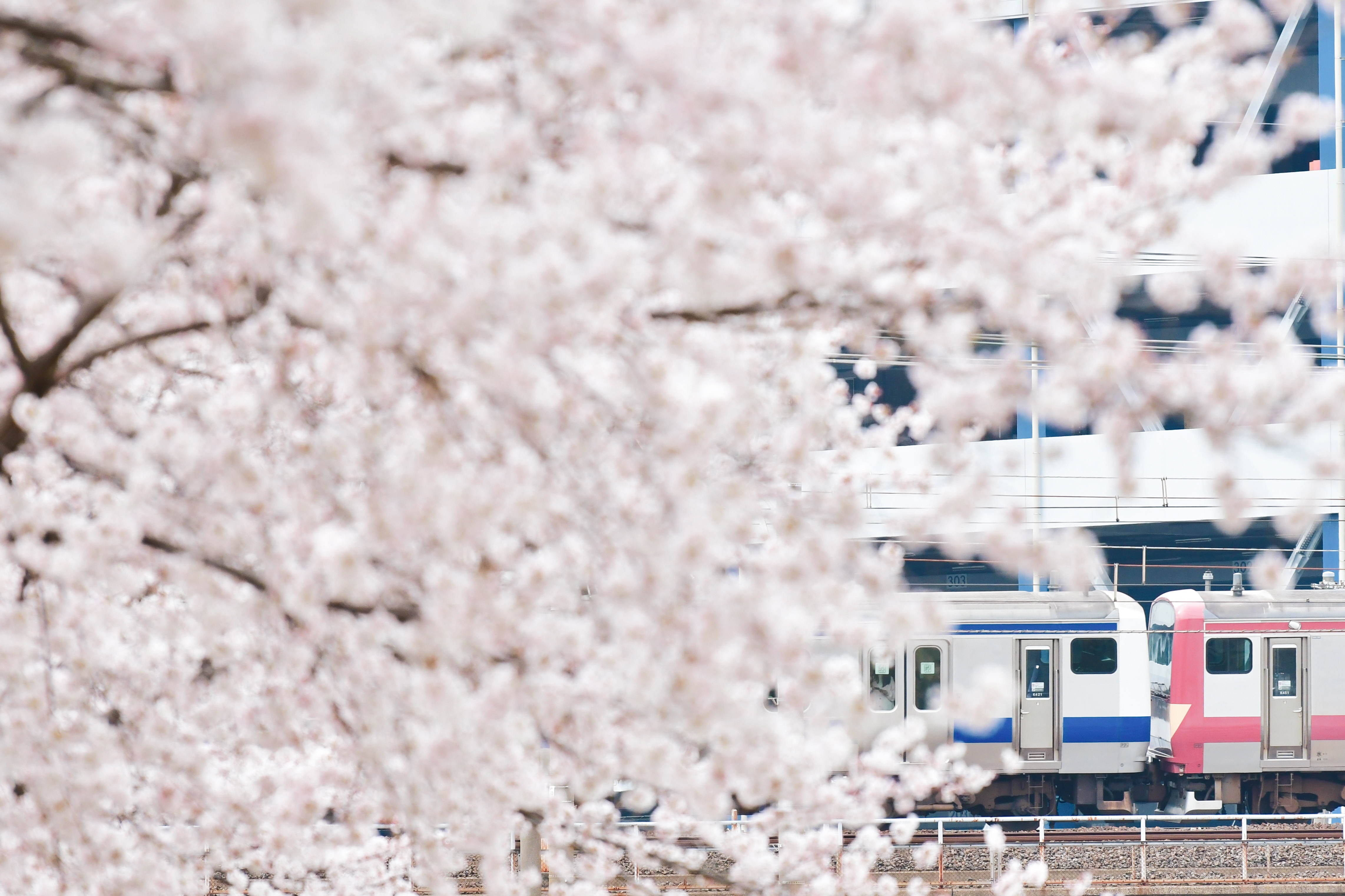 f:id:Kiyo1048:20220331163018j:image f:id:Kiyo1048:20220331163018j:image