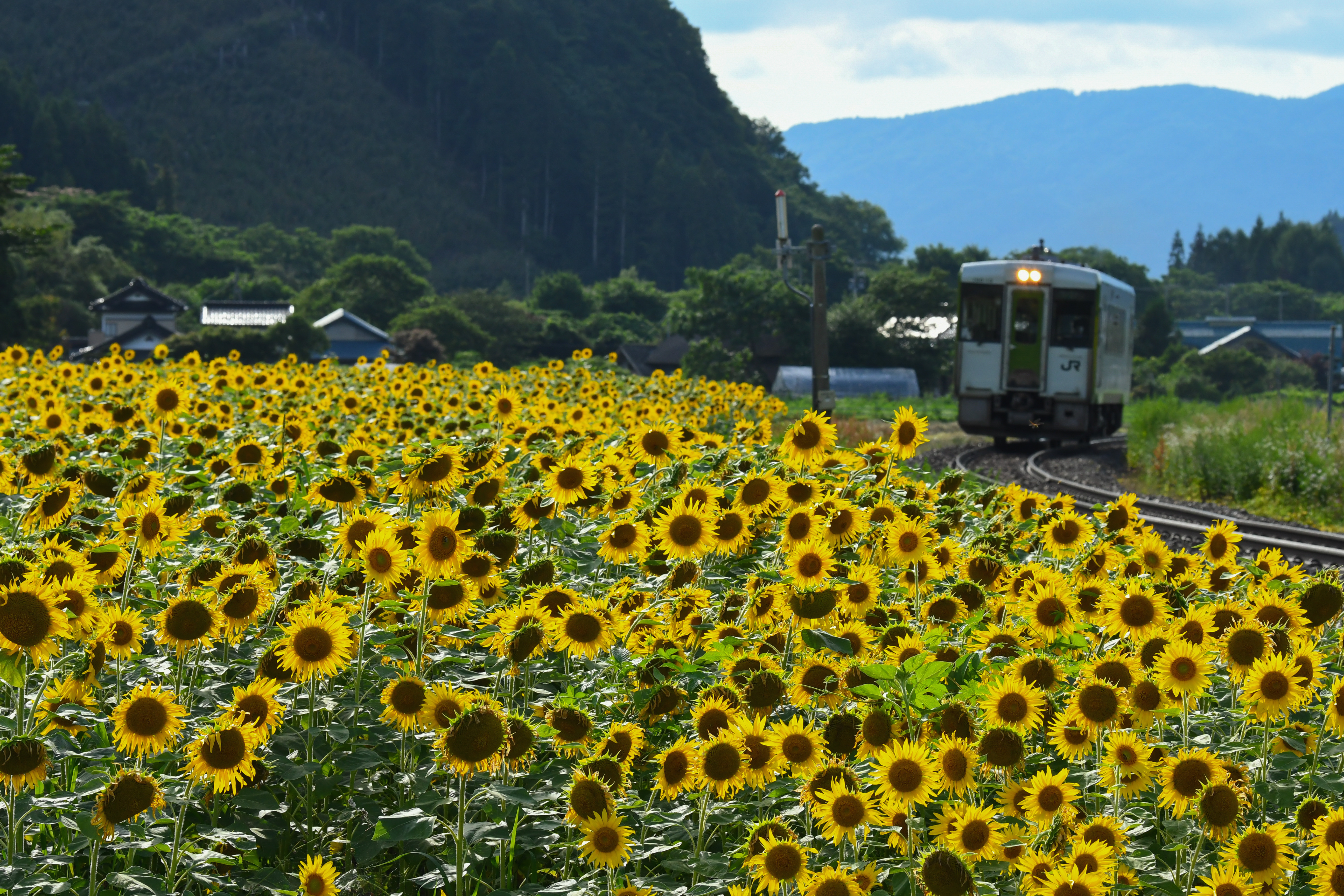 f:id:Kiyo1048:20221222202344j:image f:id:Kiyo1048:20221222202344j:image