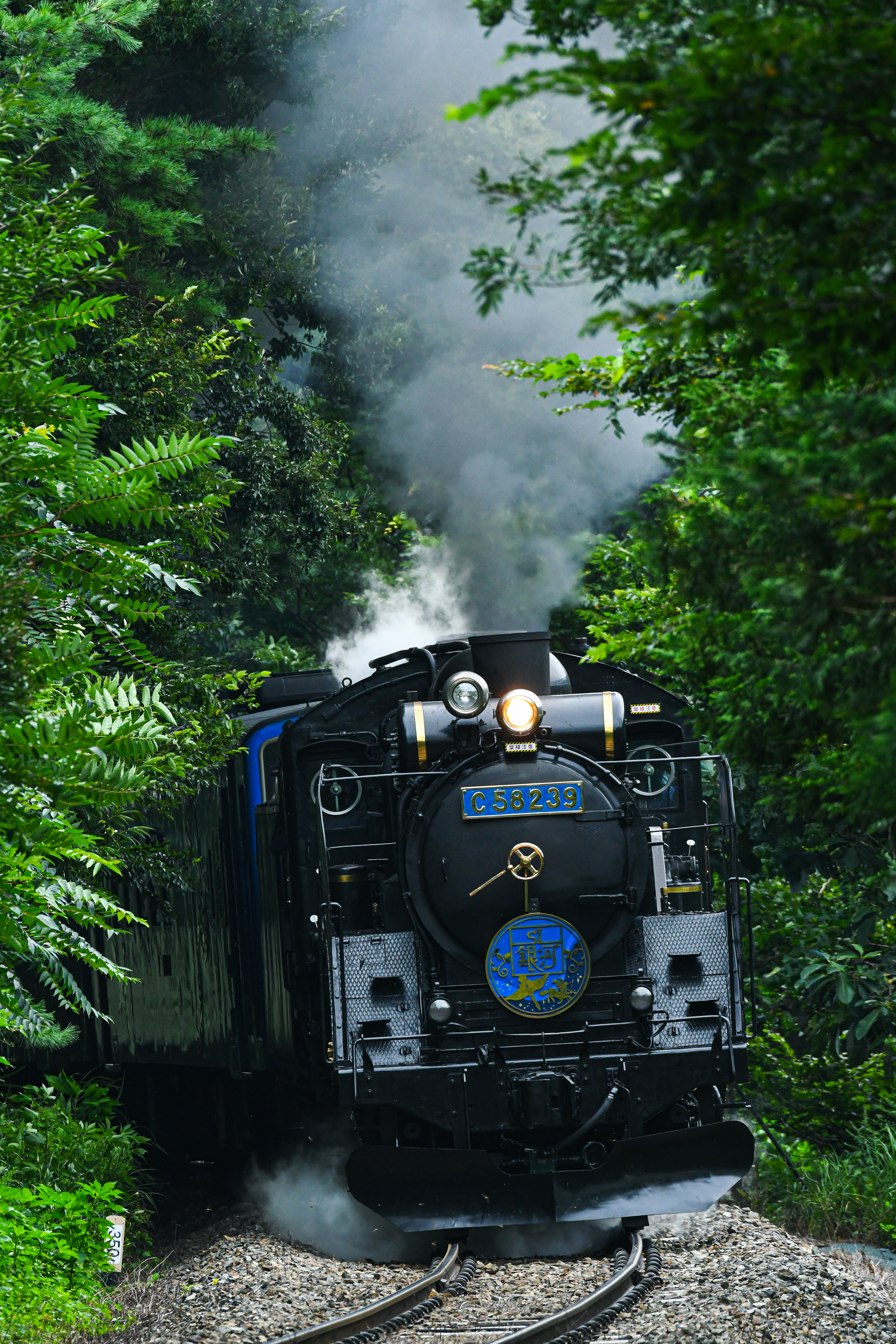 f:id:Kiyo1048:20221222202437j:image f:id:Kiyo1048:20221222202437j:image