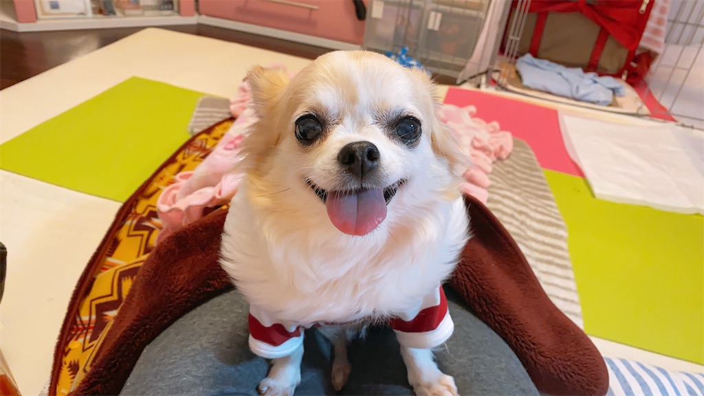 f:id:KizunaKiraKira:20201225175138j:image f:id:KizunaKiraKira:20201225175138j:image