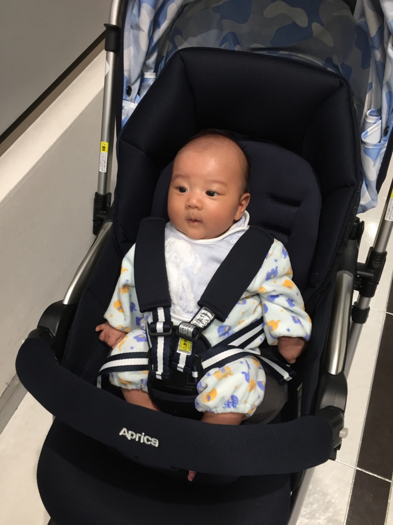 f:id:Knikki:20160925203933j:plain f:id:Knikki:20160925203933j:plain