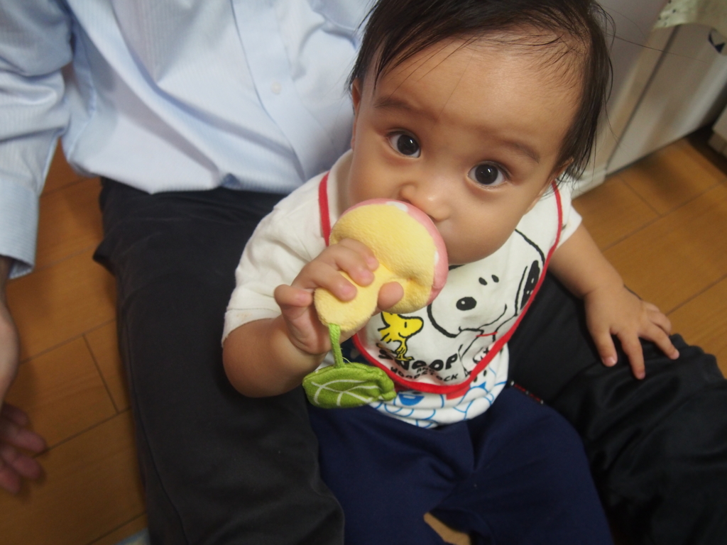 f:id:Knikki:20161014194511j:plain