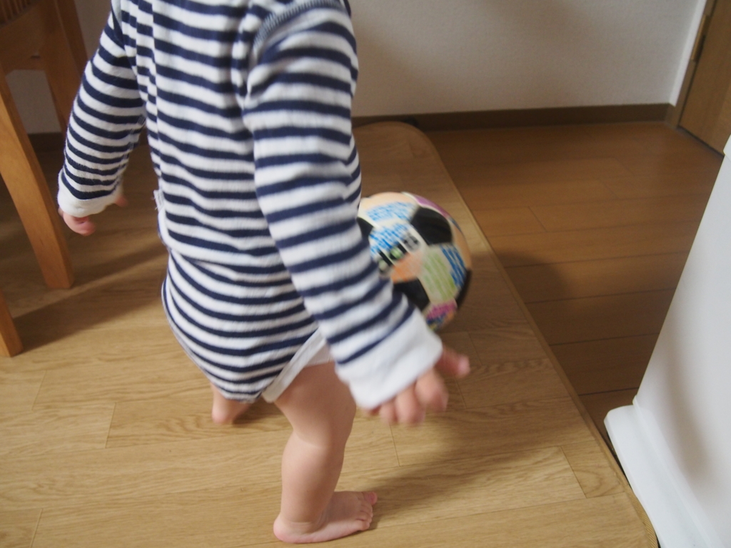 f:id:Knikki:20161104215212j:plain