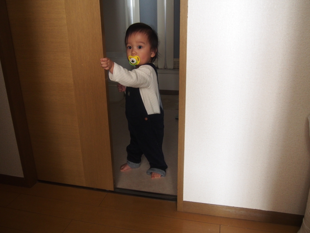 f:id:Knikki:20161113063657j:plain