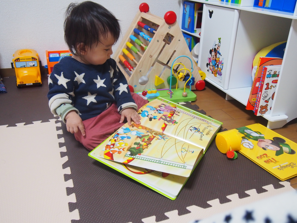 f:id:Knikki:20161116205825j:plain