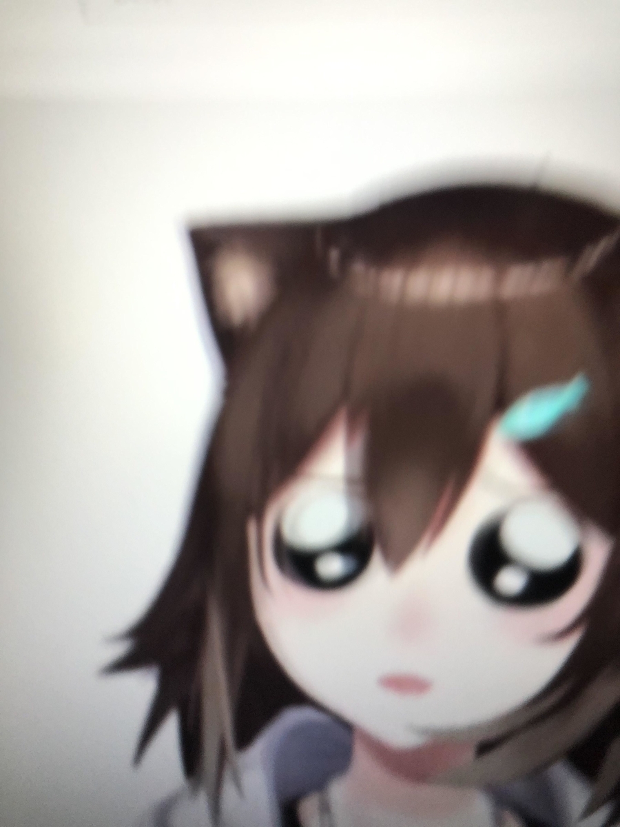 f:id:KninaruAlraune:20210410144542j:plain