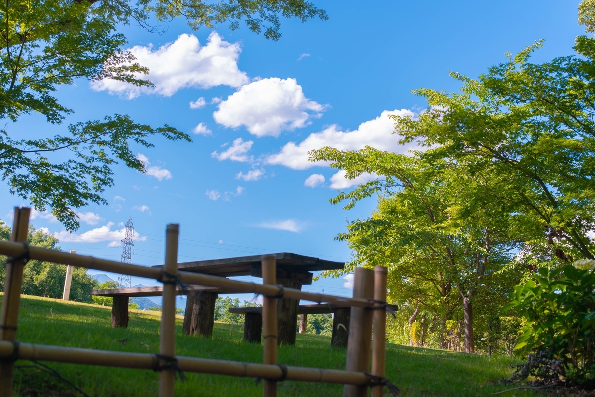 f:id:KoBaPhotos:20190315021652j:plain f:id:KoBaPhotos:20190315021652j:plain