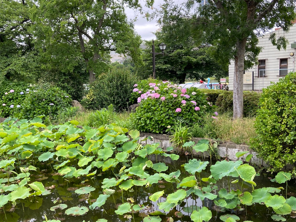 f:id:KoHarada:20240323214928j:image f:id:KoHarada:20240323214928j:image