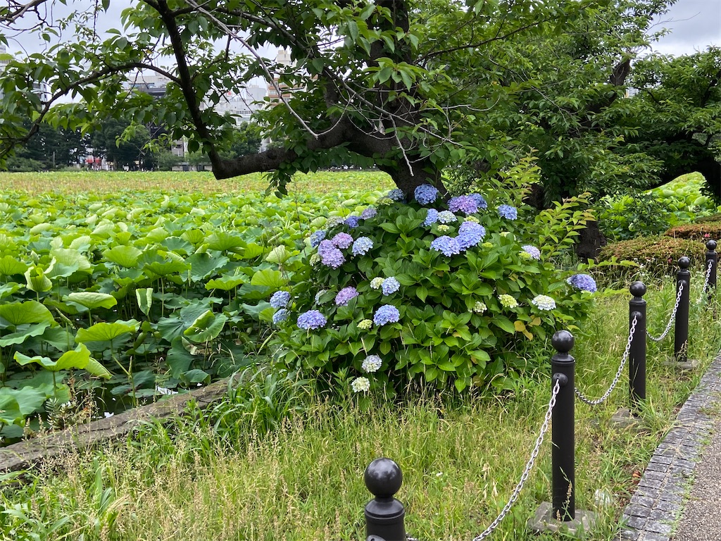 f:id:KoHarada:20240323214935j:image f:id:KoHarada:20240323214935j:image