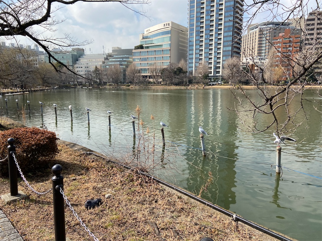 f:id:KoHarada:20240324001341j:image f:id:KoHarada:20240324001341j:image