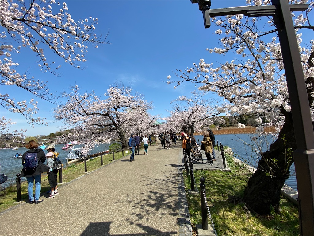 f:id:KoHarada:20240324002111j:image f:id:KoHarada:20240324002111j:image