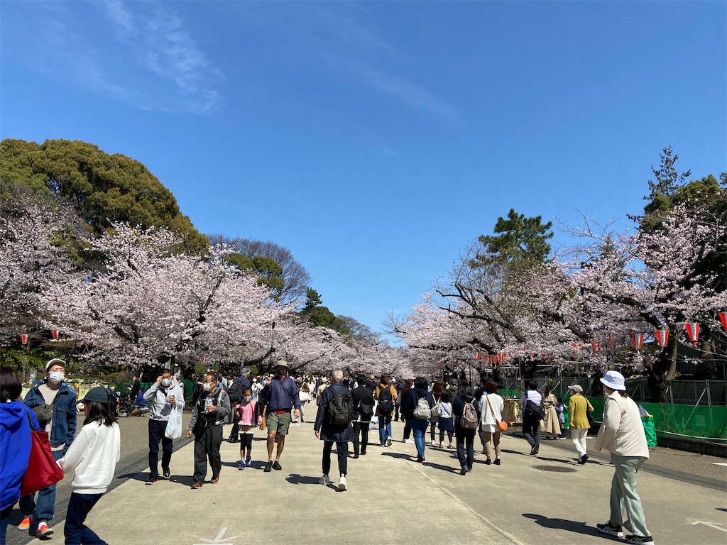 f:id:KoHarada:20240324002120j:image f:id:KoHarada:20240324002120j:image