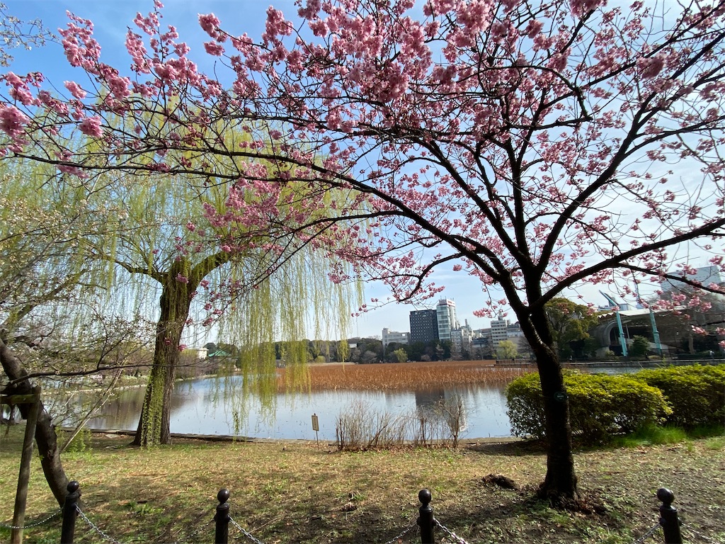 f:id:KoHarada:20240324002134j:image f:id:KoHarada:20240324002134j:image