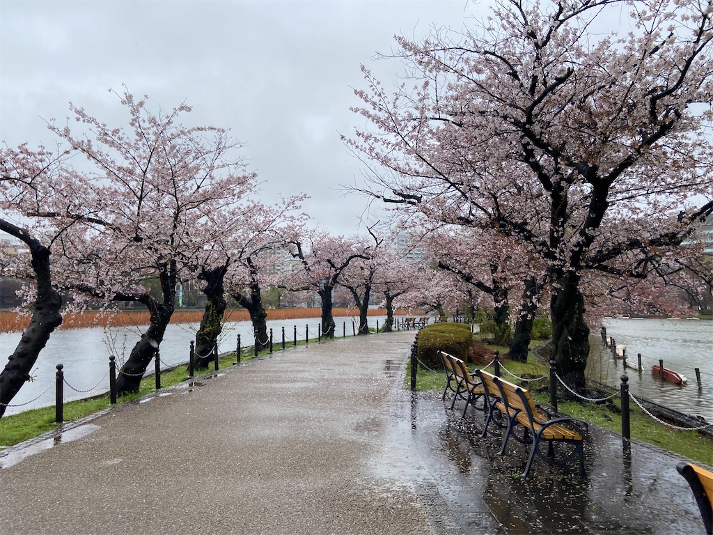 f:id:KoHarada:20240324002220j:image f:id:KoHarada:20240324002220j:image