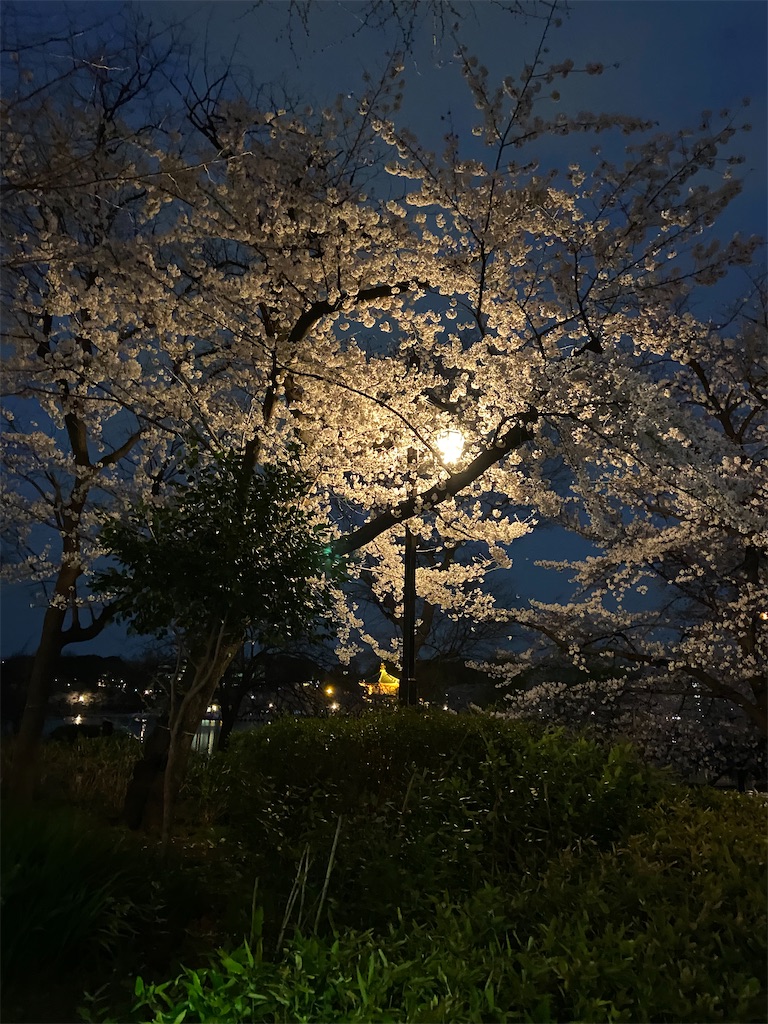 f:id:KoHarada:20240324002224j:image f:id:KoHarada:20240324002224j:image