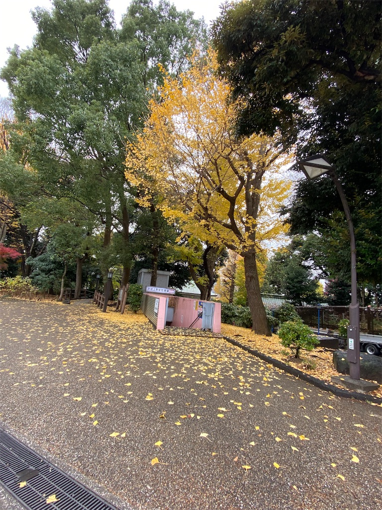 f:id:KoHarada:20240324002345j:image f:id:KoHarada:20240324002345j:image