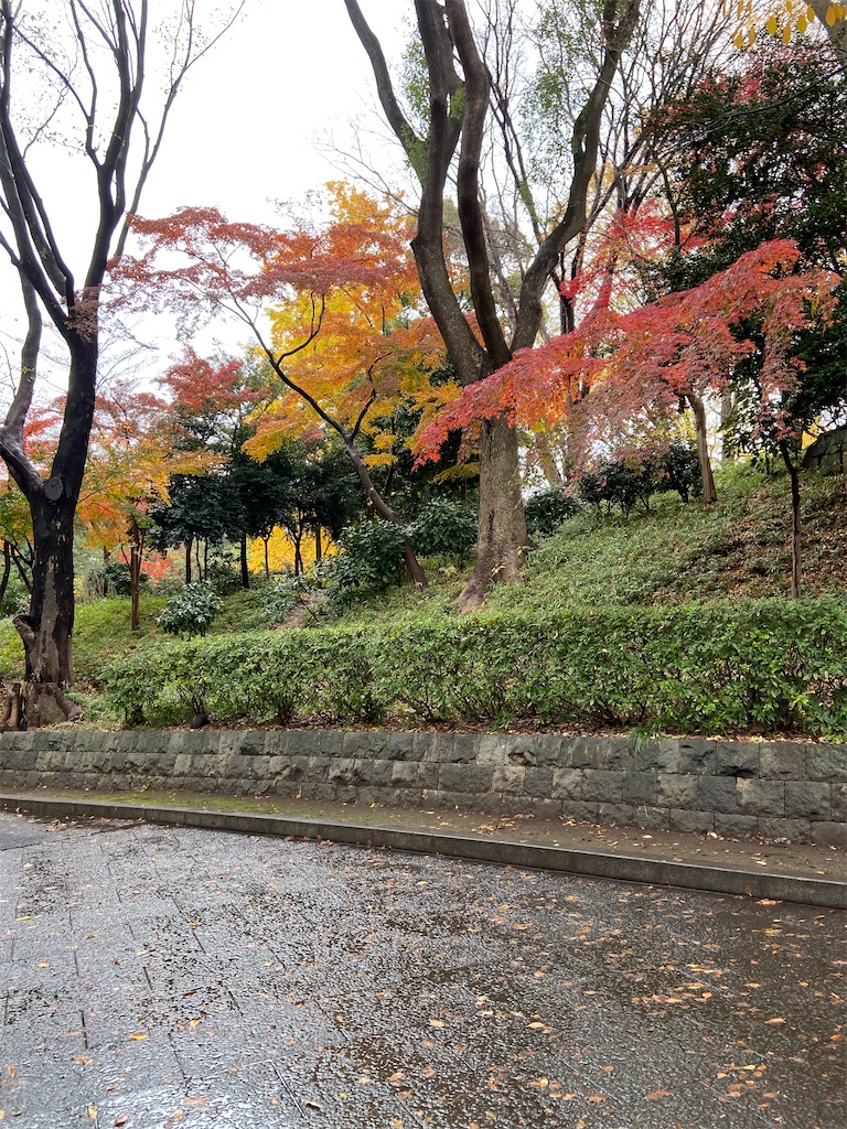 f:id:KoHarada:20240324002550j:image f:id:KoHarada:20240324002550j:image