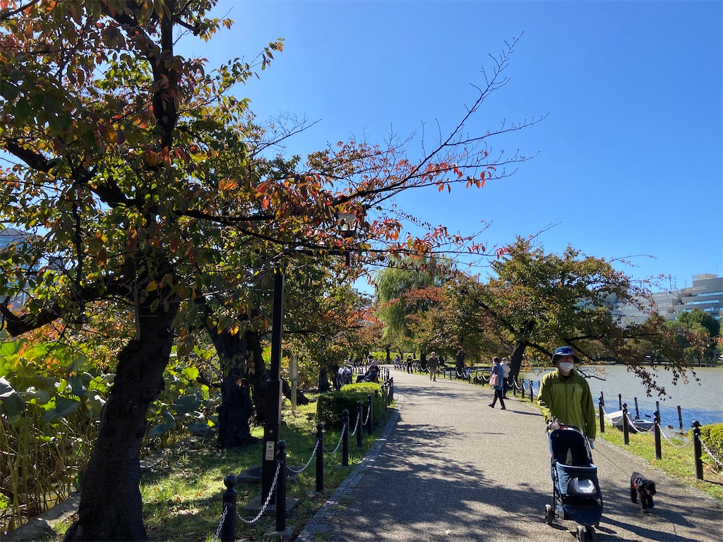f:id:KoHarada:20240324002555j:image f:id:KoHarada:20240324002555j:image